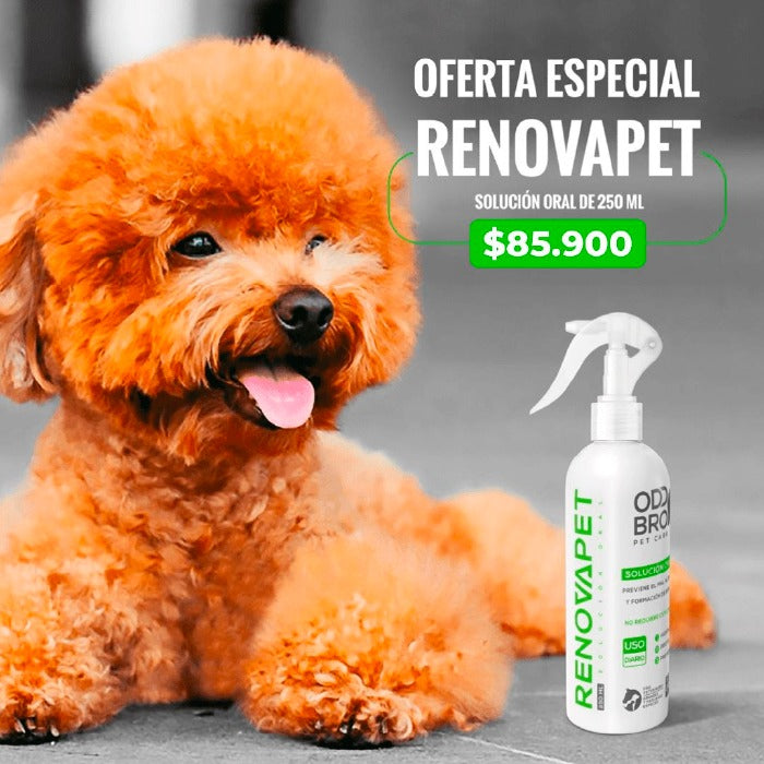 Lleva 1 Renovapet Oral