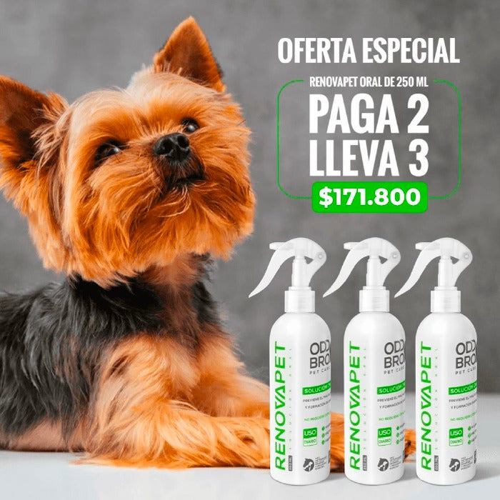 Renovapet Solución Oral