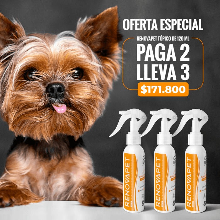 Paga 2 Lleva 3 Renovapet Tópico